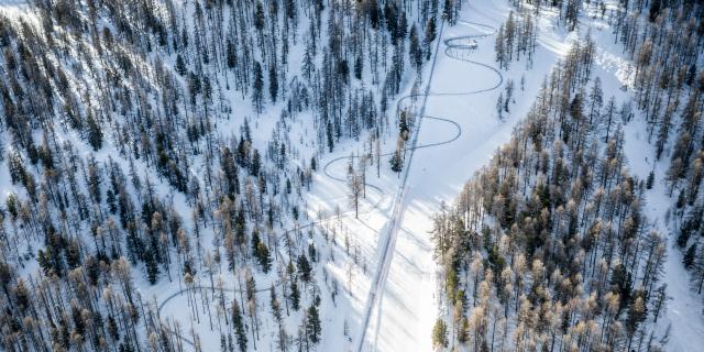 La luge sur rail du Caribou sur le domaine skiable de la Forêt Blanche dans les Hautes-Alpes.