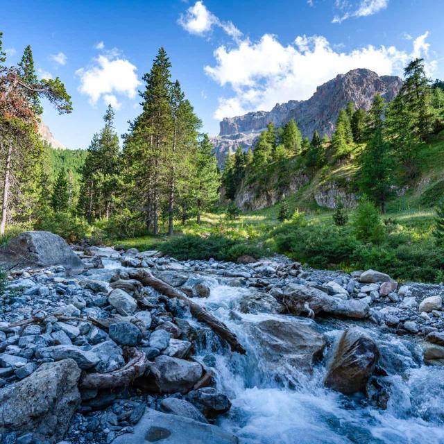 2021 - 280721174644 - Alpes Photographies