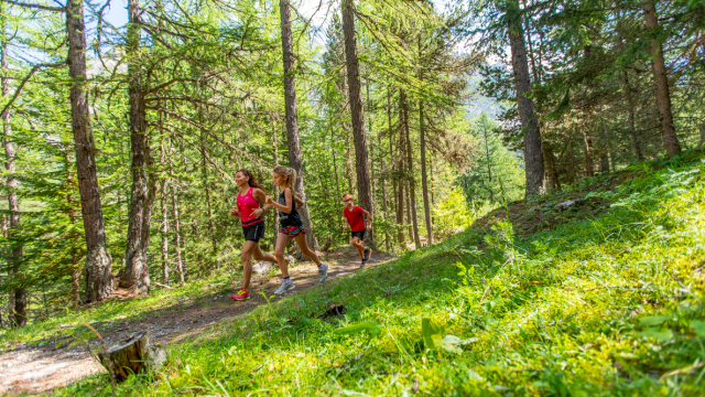 Trail VE