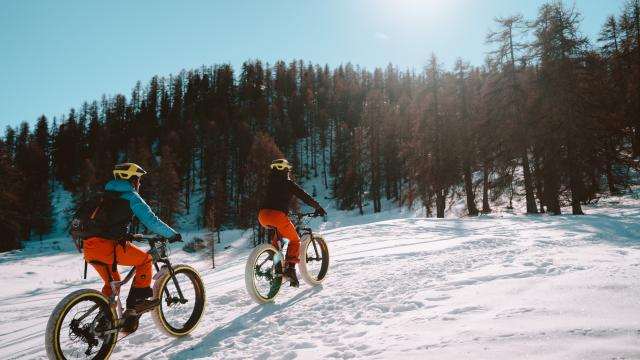 Fat Bike - Vars