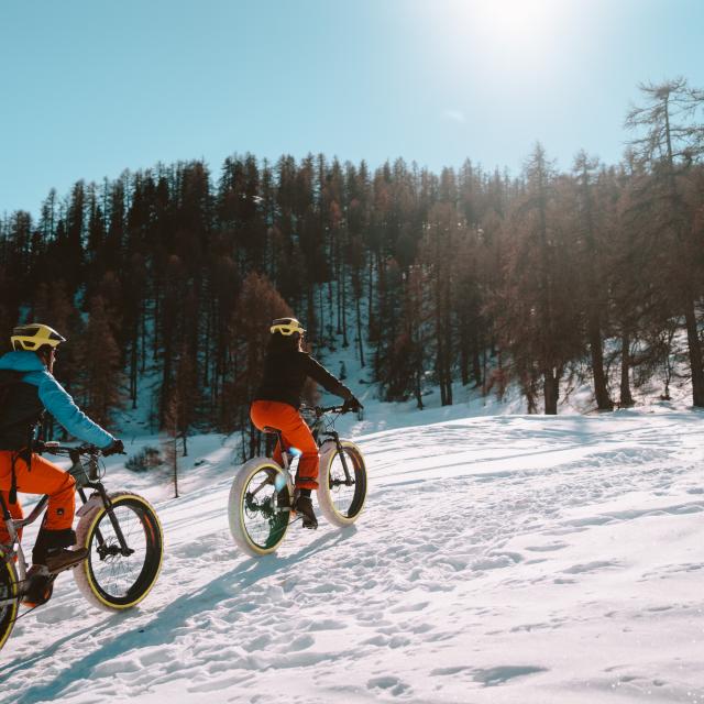 Fat Bike - Vars