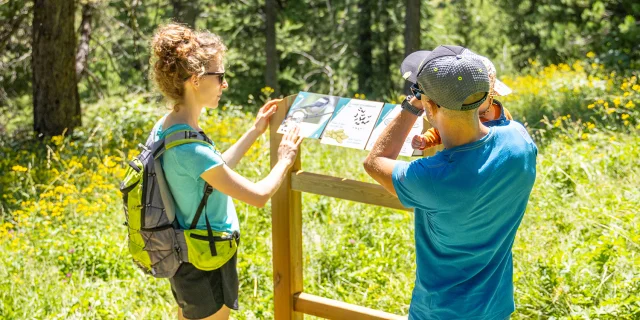 Sentiers Dinterpretation En Famille Thibaut Blais Ot Vars 99 Bd