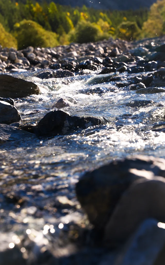 Escreins Autunno Bd Vp