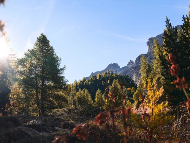 Val Descreins Automne Bd Vp