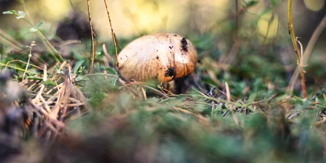 Val Descreins Vp Ot Vars 4bd 1