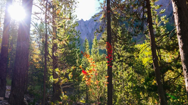 Val Descreins Vp Ot Vars 4bd